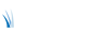 Bluestem Group Logo
