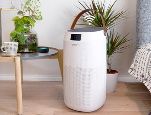 Combat seasonal allergies with an air purifier this year